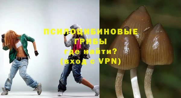 PSILOCYBIN Липки
