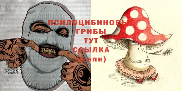 PSILOCYBIN Липки